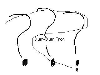 Dum-Dum Frog Documentary by Nathan (Flipnote thumbnail)